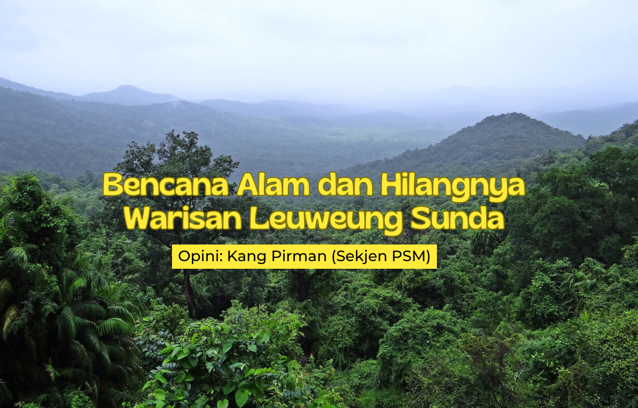Foto Leuweung sunda dgn keterangan sesuai judul
