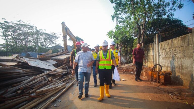 Foto: Wakil Wali Kota Tangerang Selatan Pilar Saga Ichsan